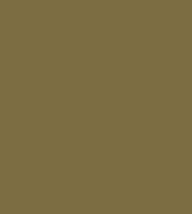 Studio Noos UV Colors Stickfarbe Olive Brown